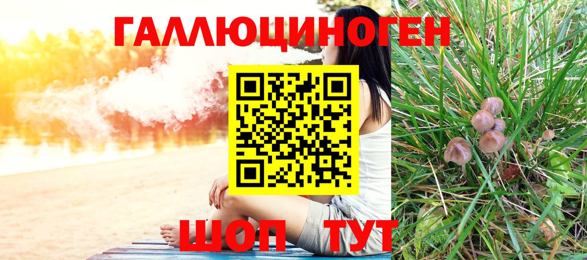 Галлюциногенные грибы Psilocybe  продажа наркотиков  Галлюциногенные грибы мицелий  Тамбов  Вход с VPN 